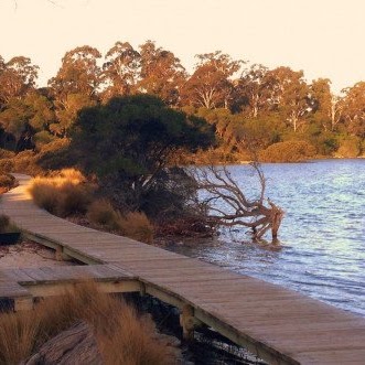 Merimbula Boardwalk