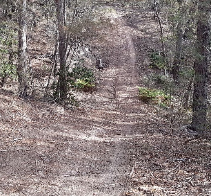 Merimbula Tip Trail