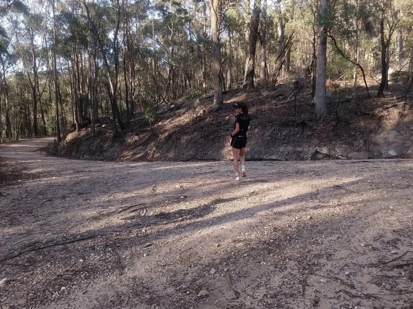 Runner on a wide dirt trail through bushland, Back Millingandi Loop