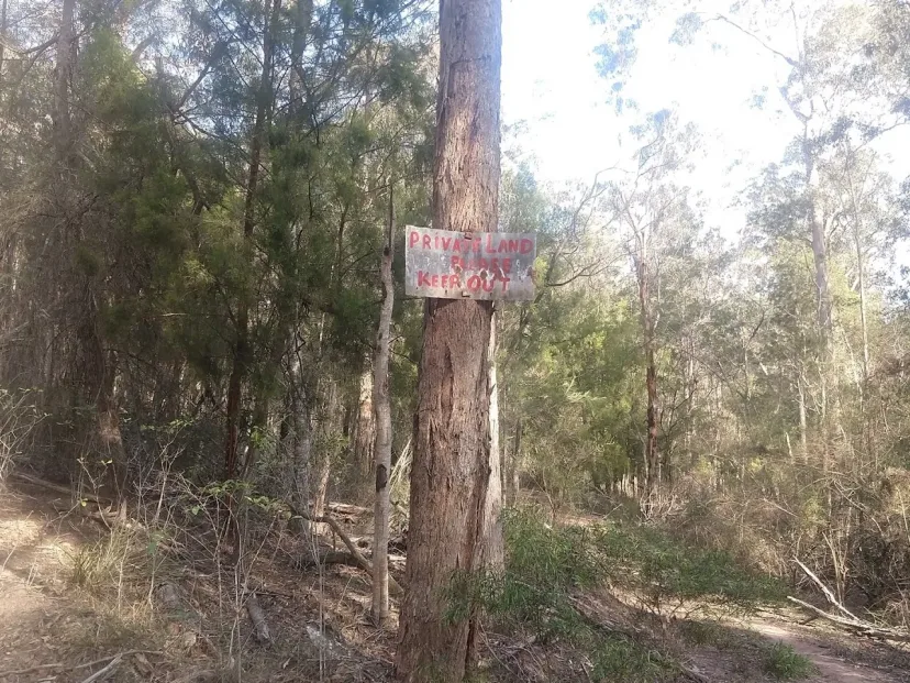 Trail marker tied to a tree beside the Back Millingandi track