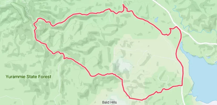 Route map of the Back Millingandi Loop through Yurammie State Forest
