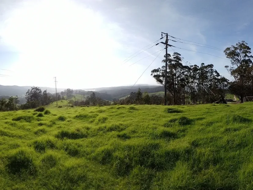 Open grassy paddock and powerlines near the Back Millingandi Loop