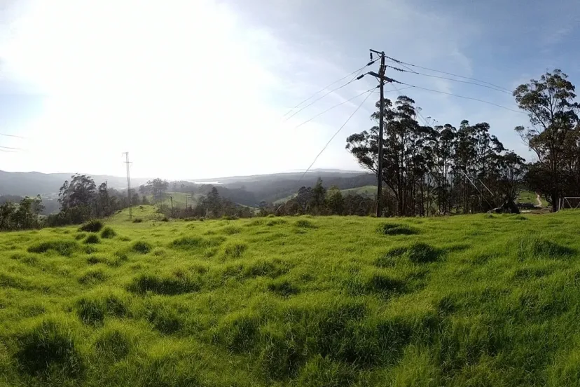 Open grassy paddock and powerlines near the Back Millingandi Loop