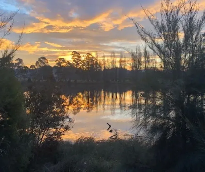 Sunrise over the water on the Bega shared paths