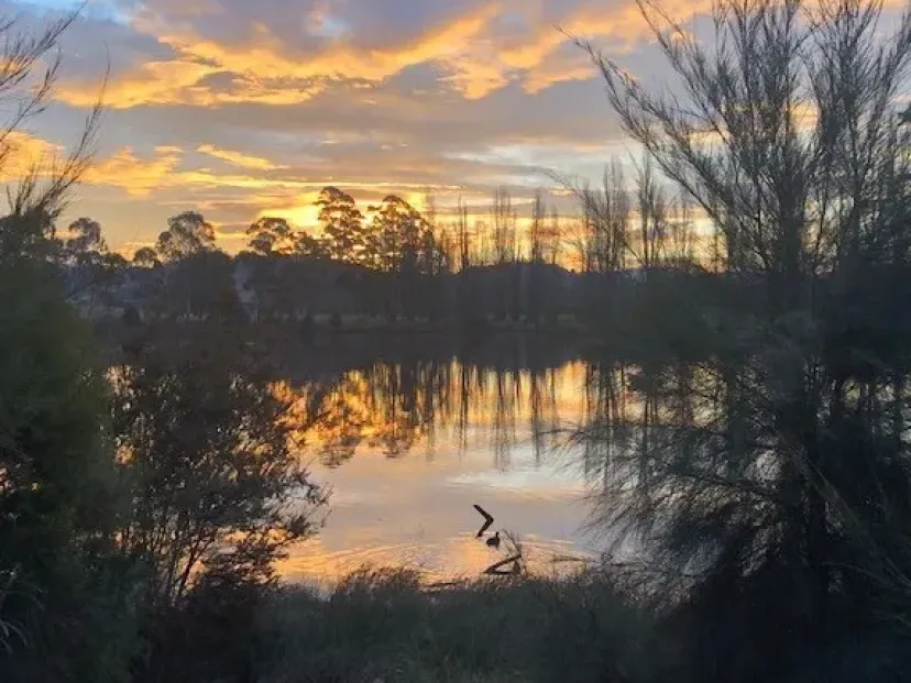Sunrise over the water on the Bega shared paths