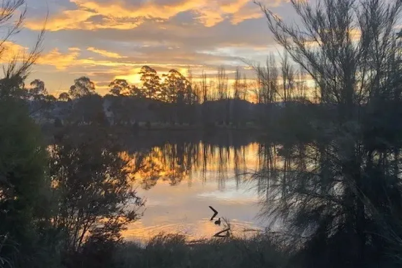 Sunrise over the water on the Bega shared paths