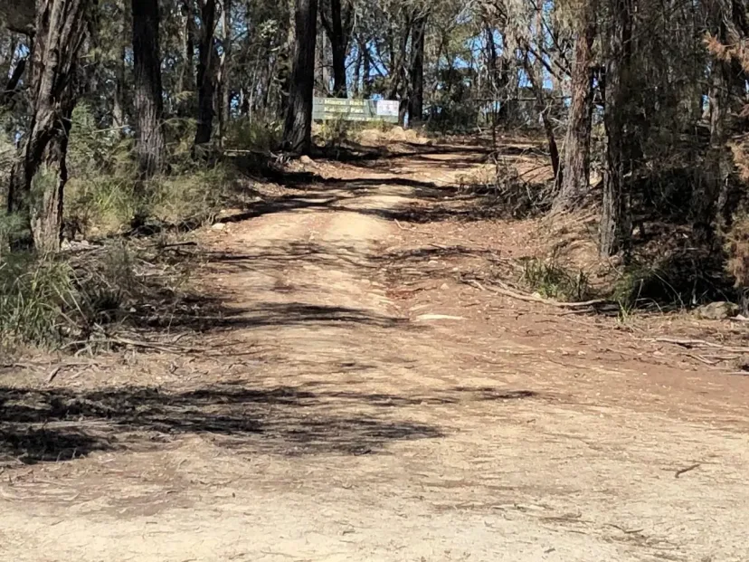 Trail junction in bushland on the Doctor George Loop