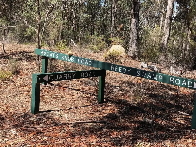 Street signs at Quarry Road, Reedy Swamp Road and Blacks Knob Road