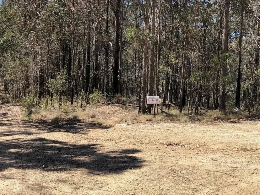 Track through open eucalypt forest on the Doctor George Loop