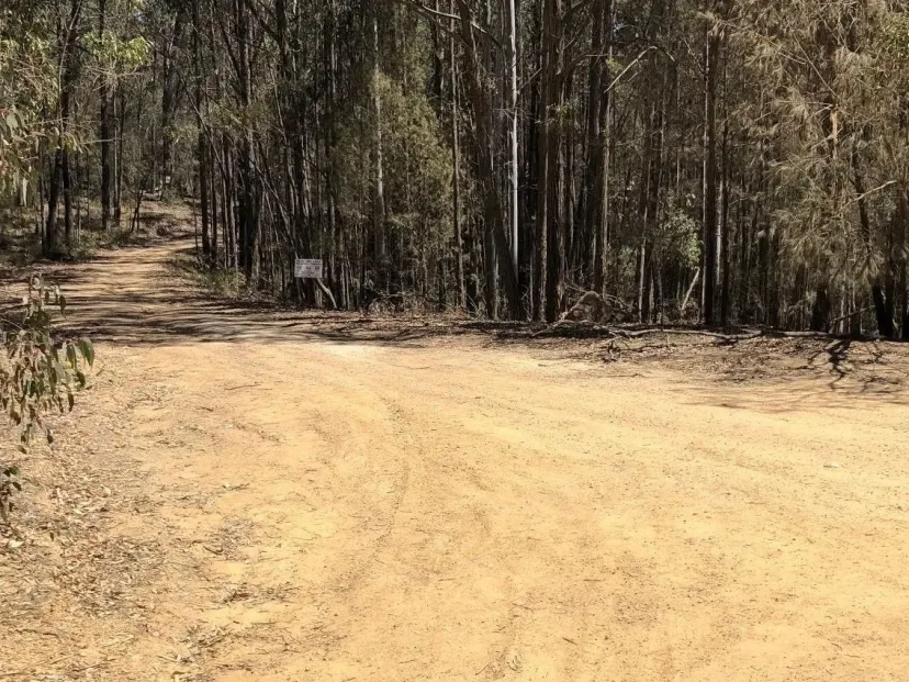 Wide sandy trail through bushland on the Doctor George Loop