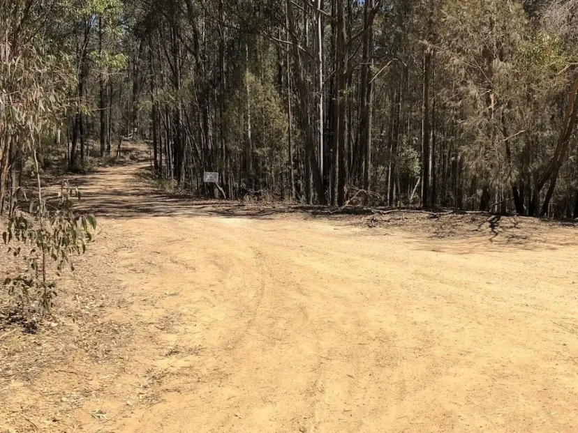 Dirt trail through bushland on the Doctor George Loop