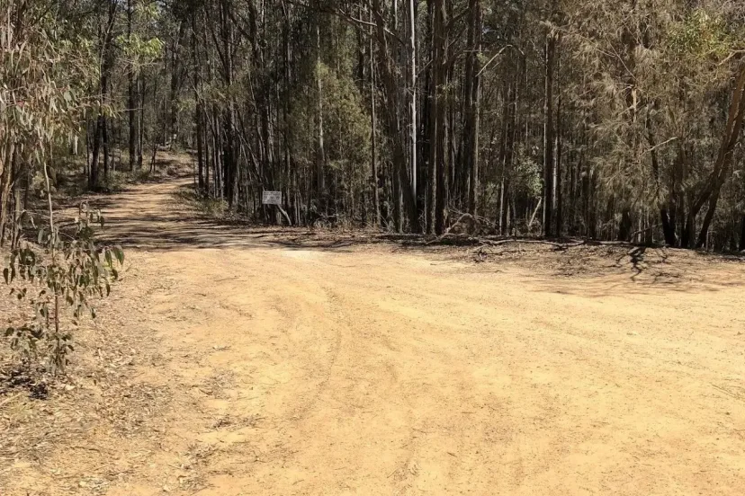 Dirt trail through bushland on the Doctor George Loop