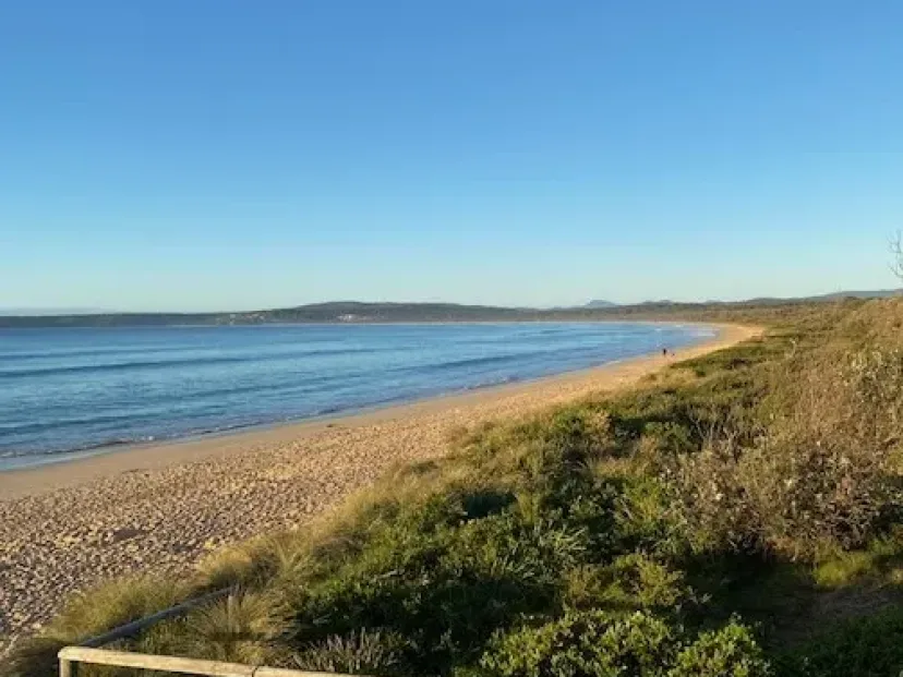 Beach and dunes behind a timber fence rail