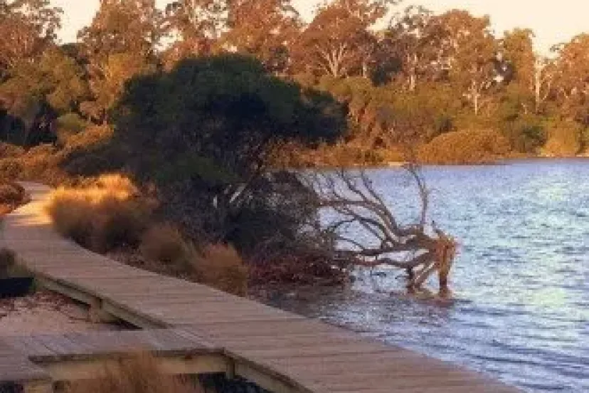 Timber boardwalk over the water at Merimbula at sunset