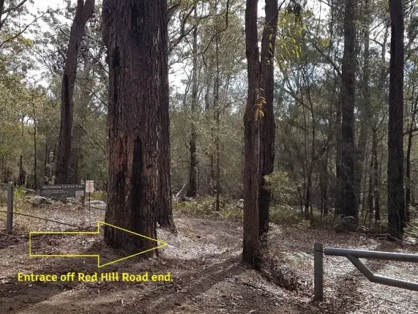 Entrance to the Merimbula Tip Trail off the Red Hill Road end