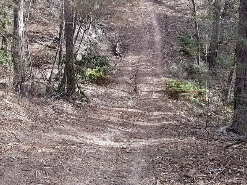 Steep eroded pinch on the Merimbula Tip Trail