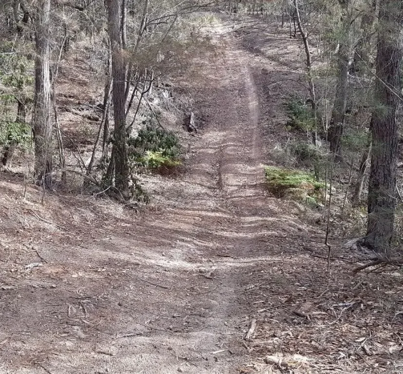 Steep eroded section of the Merimbula Tip Trail