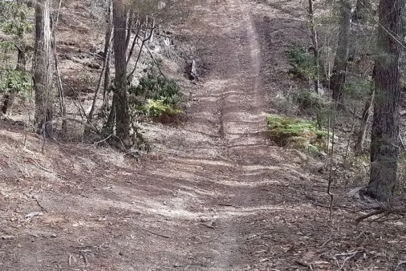 Steep eroded section of the Merimbula Tip Trail