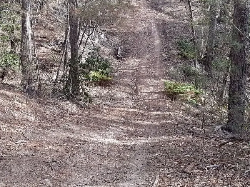 Steep eroded section of the Merimbula Tip Trail