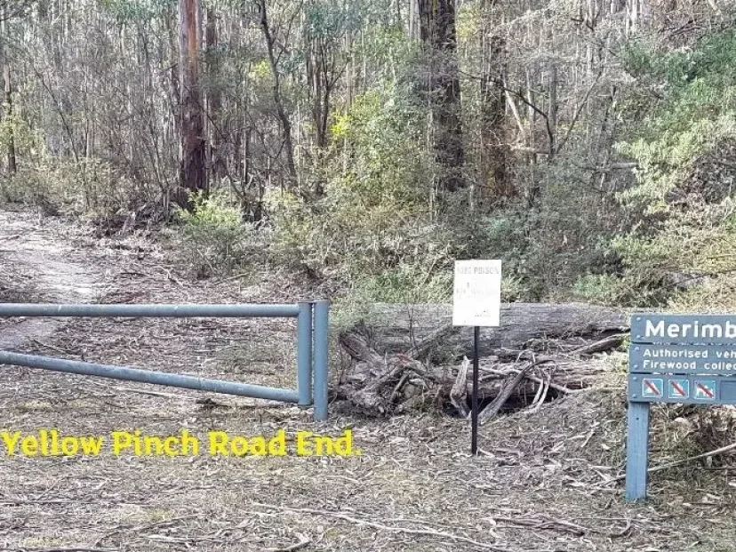 Gate at the Yellow Pinch Road end of the Merimbula Tip Trail