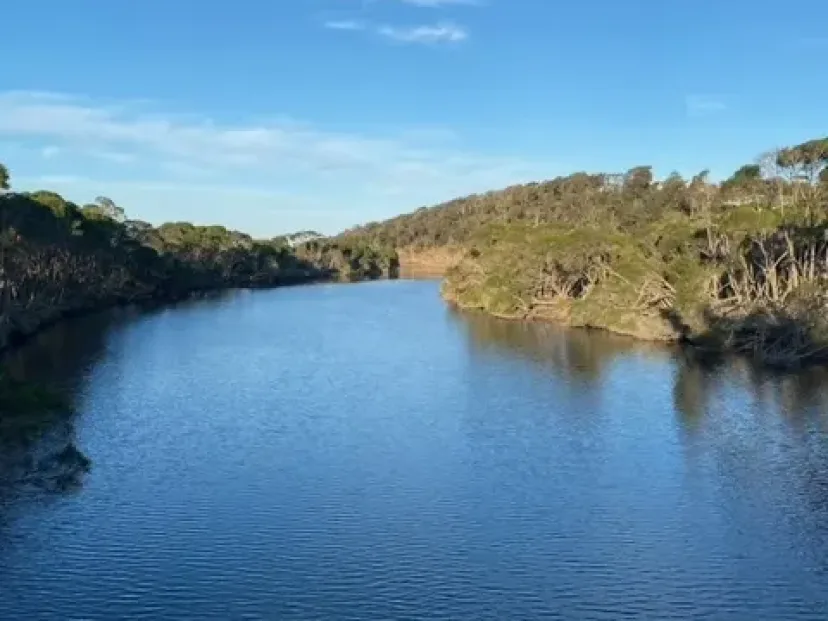 Wide water and bushland banks along the Mundooi track