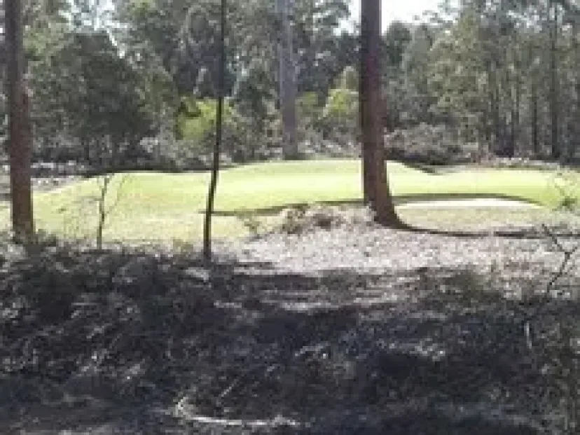 Trail running beside the golf course on the Pambula bush paths