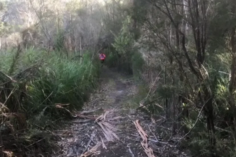 Overgrown trail through coastal scrub on the Red Light route