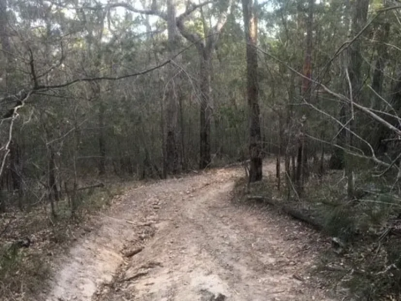 Eroded dirt trail through bushland on the Red Light route