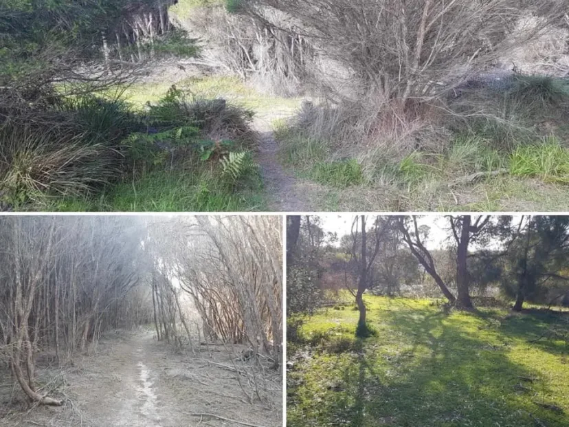 Four views of the trail between Tura and Bournda