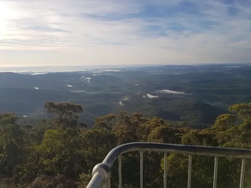 View over forested hills from the Wolumla Peak lookout