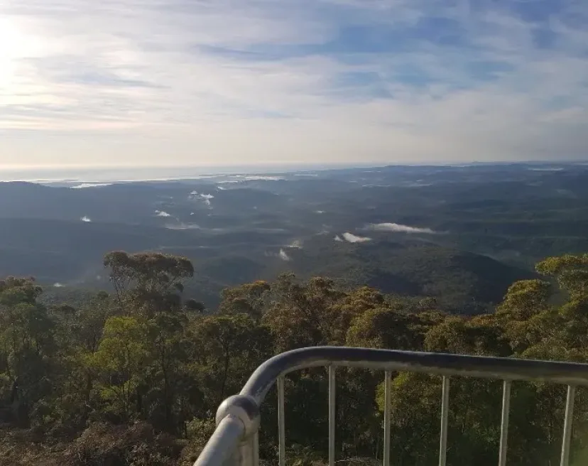 View over forested hills from the Wolumla Peak lookout