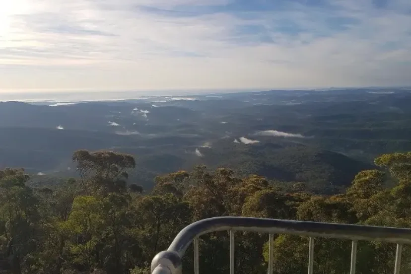 View over forested hills from the Wolumla Peak lookout