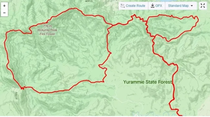 Route map of the Wolumla Peak Loop through Yurammie State Forest