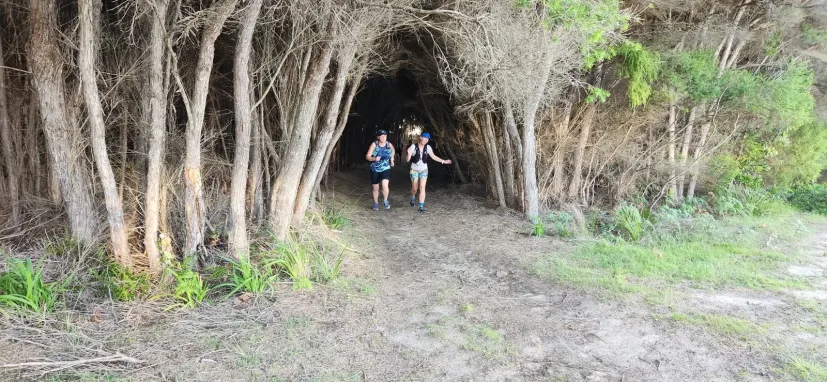 Sapphire Coast Runners member on a bush trail