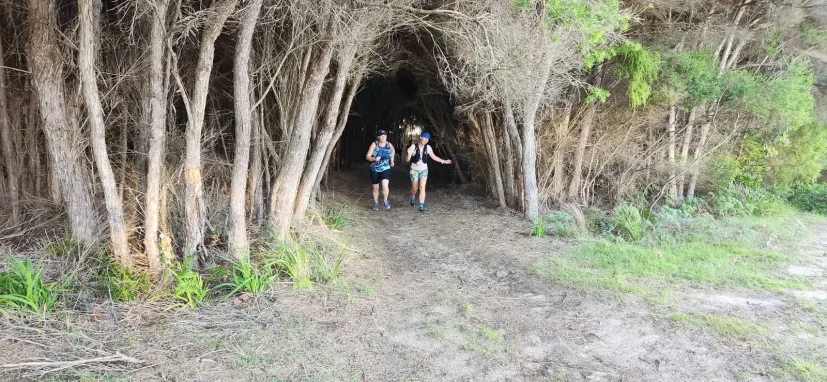 Two Sapphire Coast Runners members running a bush trail together