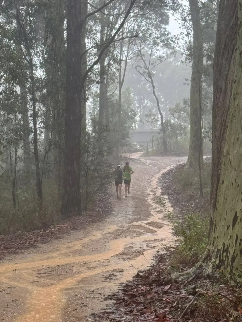 Sapphire Coast Runners member on a bush trail